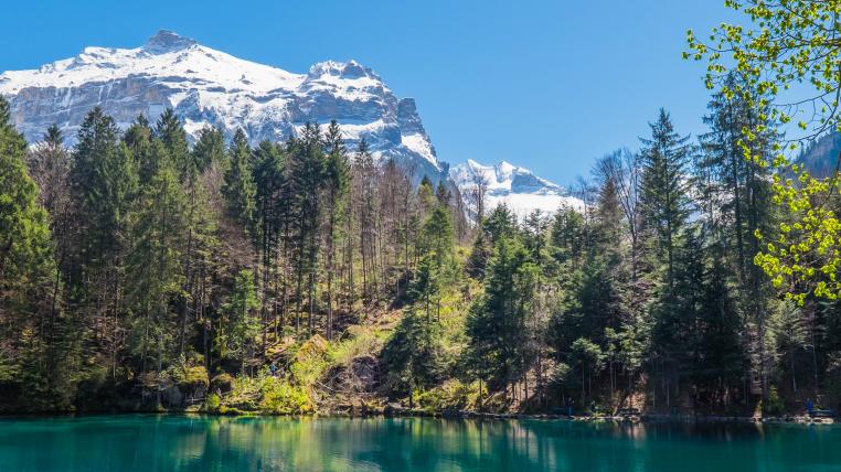 Wald am Blausee, Kanton Bern