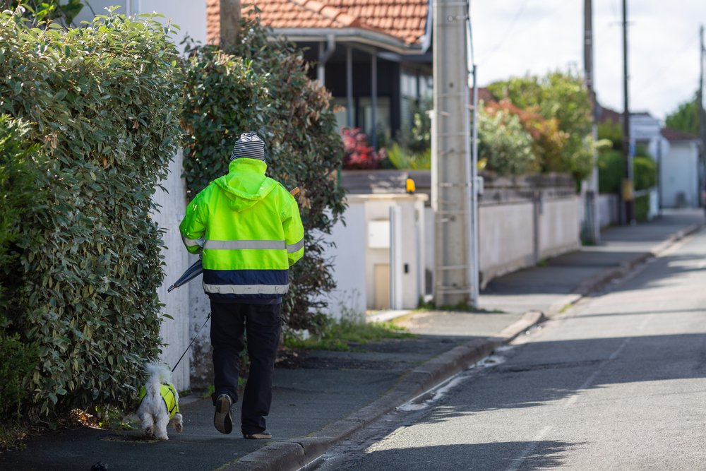 Sichtbarkeit rettet Leben: So schützen Sie sich und Ihr Tier im Strassenverkehr