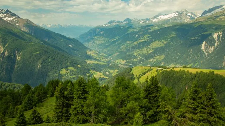 8176c1a3f4e29120cb9fb096f1bcbb6d580085a7 Blick auf Wald und Berge in der Schweiz