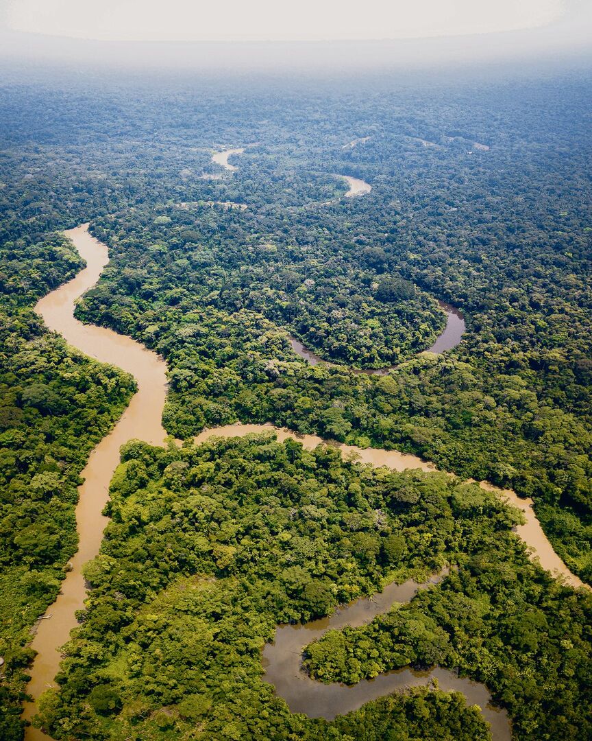 Flüsse mäandern durch den amazonischen Tieflandregenwald, suchen sich stets neue Wege und bilden Altwasserseen.