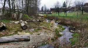 Um Gemeinden bei der Revitalisierungen zu unterstützen, hat Aqua Viva das Projekt «Lebendiger Dorfbach» ins Leben gerufen.