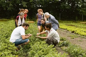 Mikrofarming sorgt in der ersten Tiny Farm der Schweiz für eine grosse Vielfalt an Gemüse.