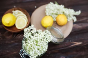 Die duftenden Blüten des Holunderbaums sind im Mai sowie Juni reif und werden oft für die Herstellung von Tee und Sirup verwendet.