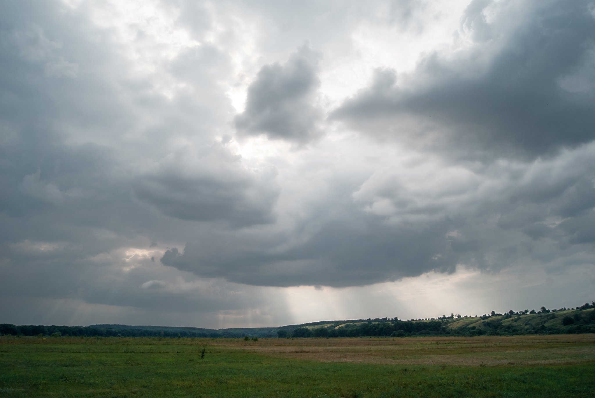 Wie sich der Frühling durch den Klimawandel verändert