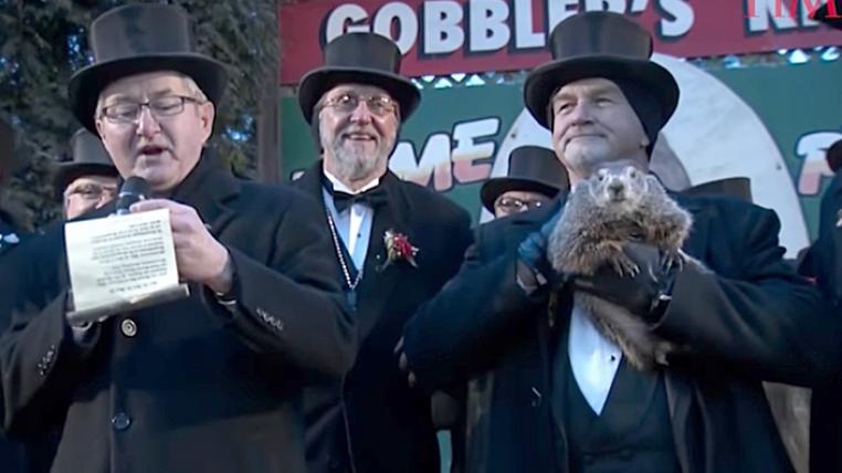Groundhog Day USA