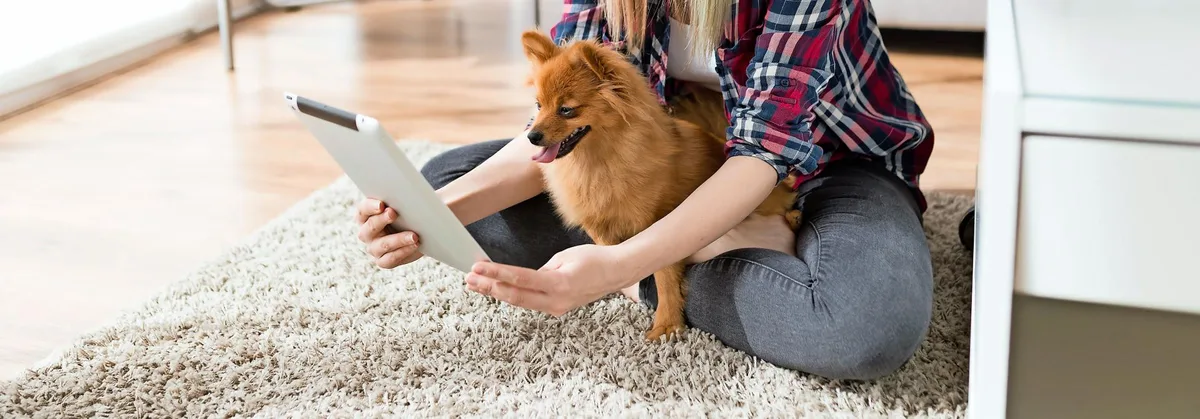 b4d4f82439a821679b28159e3a35e3337268b376 Frau bei Videokonferenz mit Hund