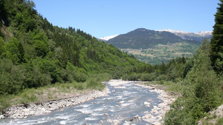 Glenner.jpg