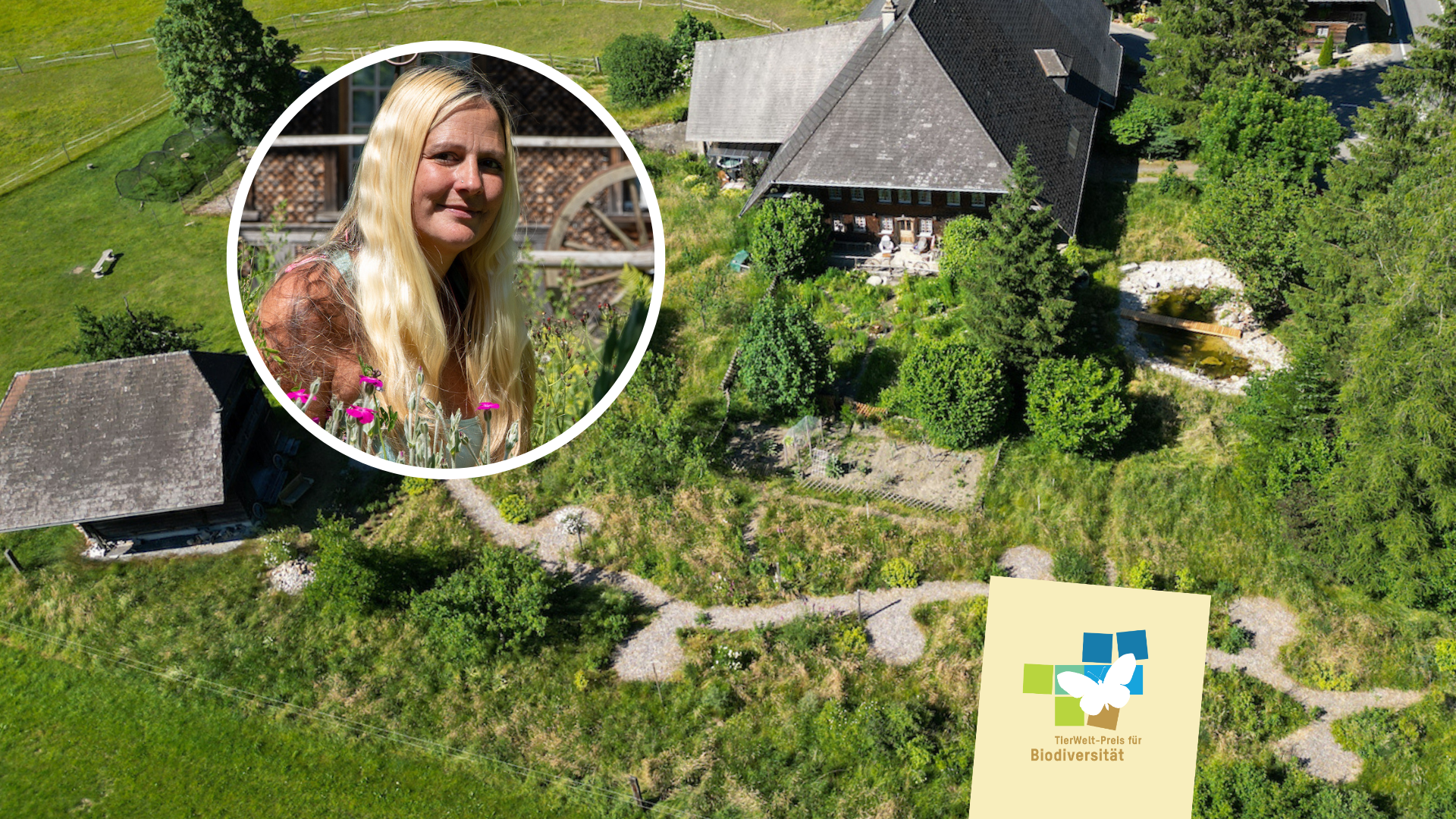 Cristina Grossenbacher: Cristinas wilder Garten