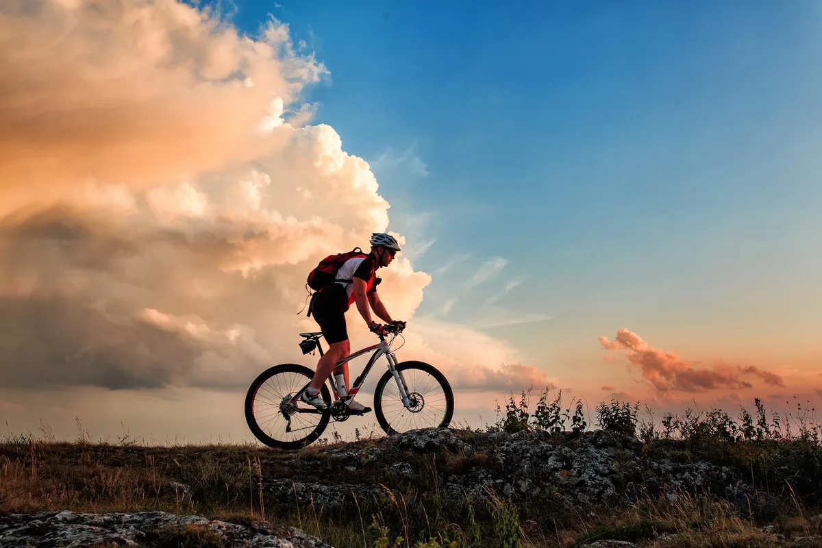 shutterstock_299247401 299247401