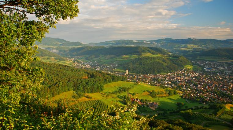 Blick auf Sissach im Baselbiet