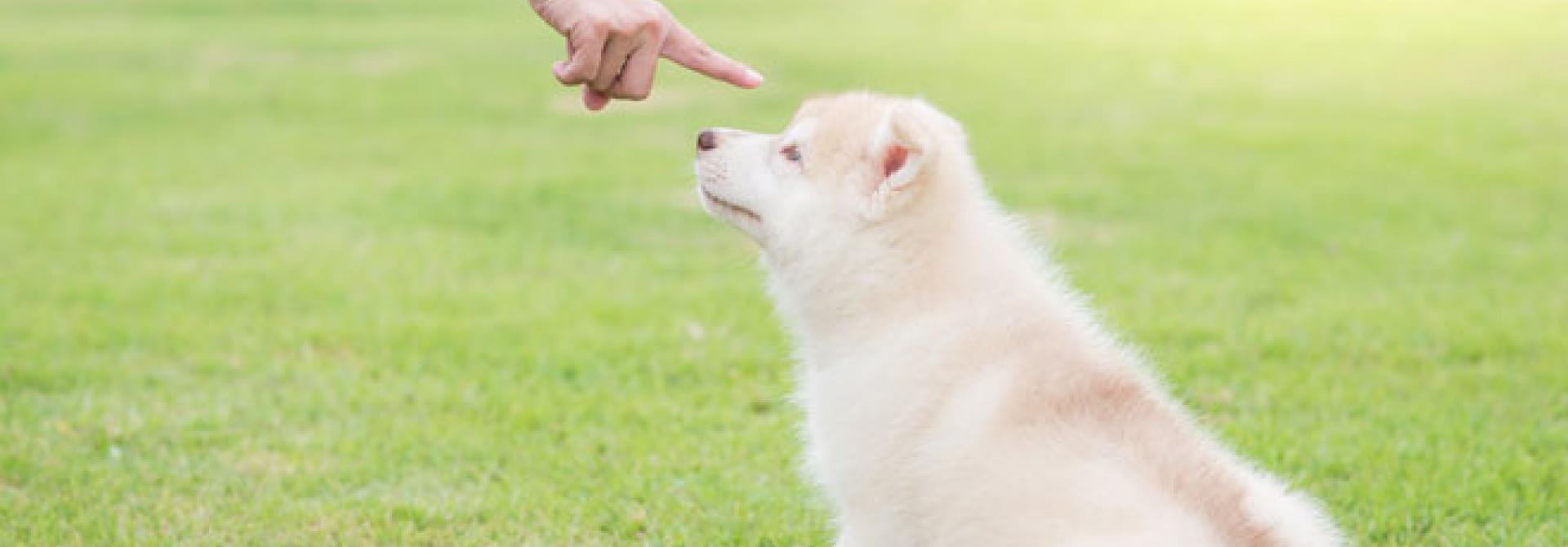 nein-shutterstock.jpg