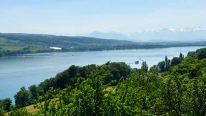 Der Kanton Aargau will die Uferlandschaft des Hallwilersees erhalten.