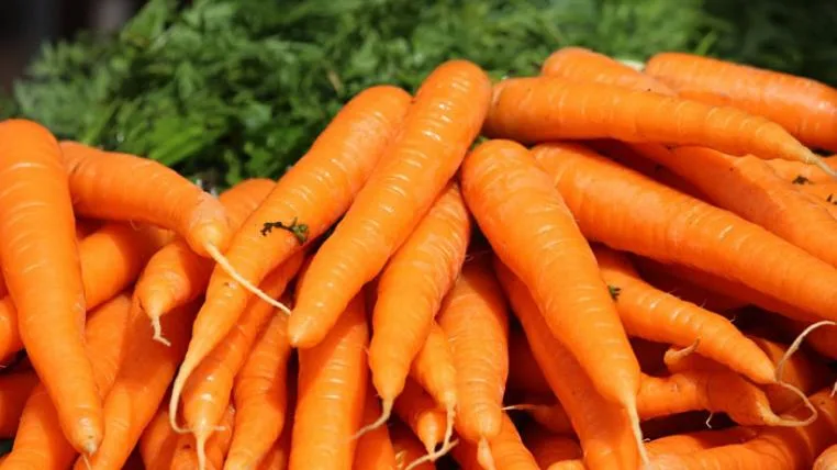 7de1a3444ac47ad511c6c9b93b30db861b143da2 the-carrot-s.jpg