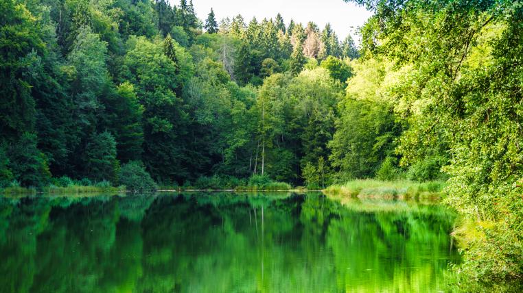 Egelsee