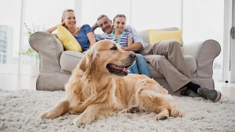b04f31af4bf9c30dcda139391dc72d2ebb65a793 Familie mit Hund auf Sofa