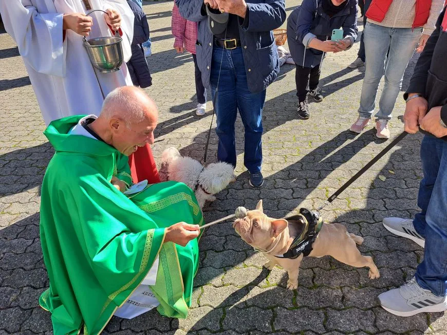 Tiersegen_1 Eine Verbindung durch Gott mit dem Tier