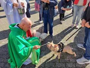 Pfarrer Nicolas Betticher segnete am 22. Oktober 15 Hunde und noch viele andere Tiere.