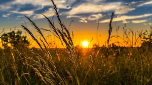 Der Schweizer Bauernverband erinnert daran, dass die Landwirtschaft jährlich Lebensmittelrohstoffe und Lebensmittel im Wert von rund 10 Milliarden Franken produziert.
