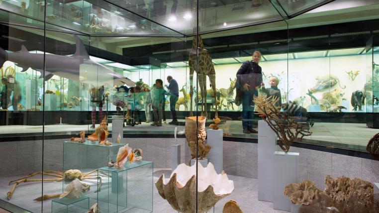 zoologisches-museum.jpg