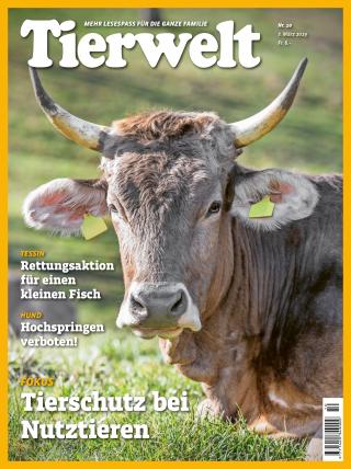 Titelbild «Tierwelt»-Ausgabe 10