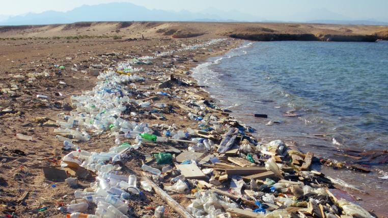 Plastik in Scharm el Scheich