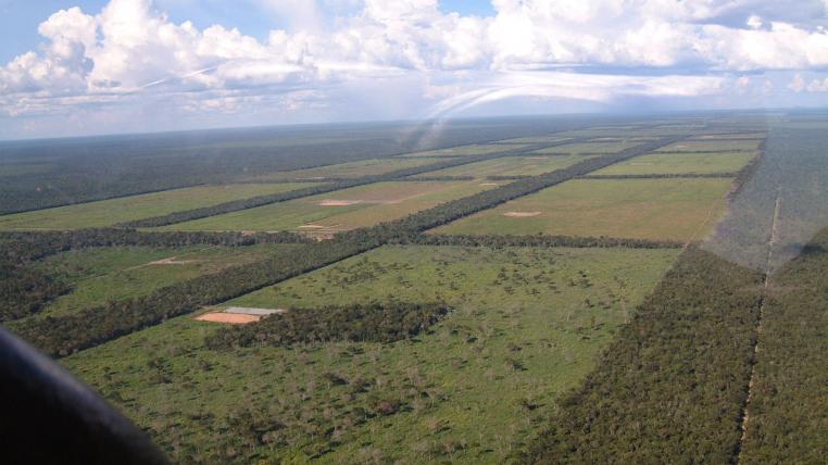 ParaguayChaco_Clearings_for_cattle_grazing-PeerV-bysa.jpg