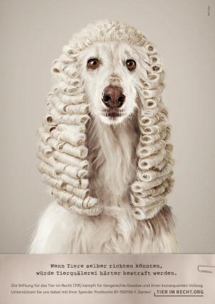 Hund