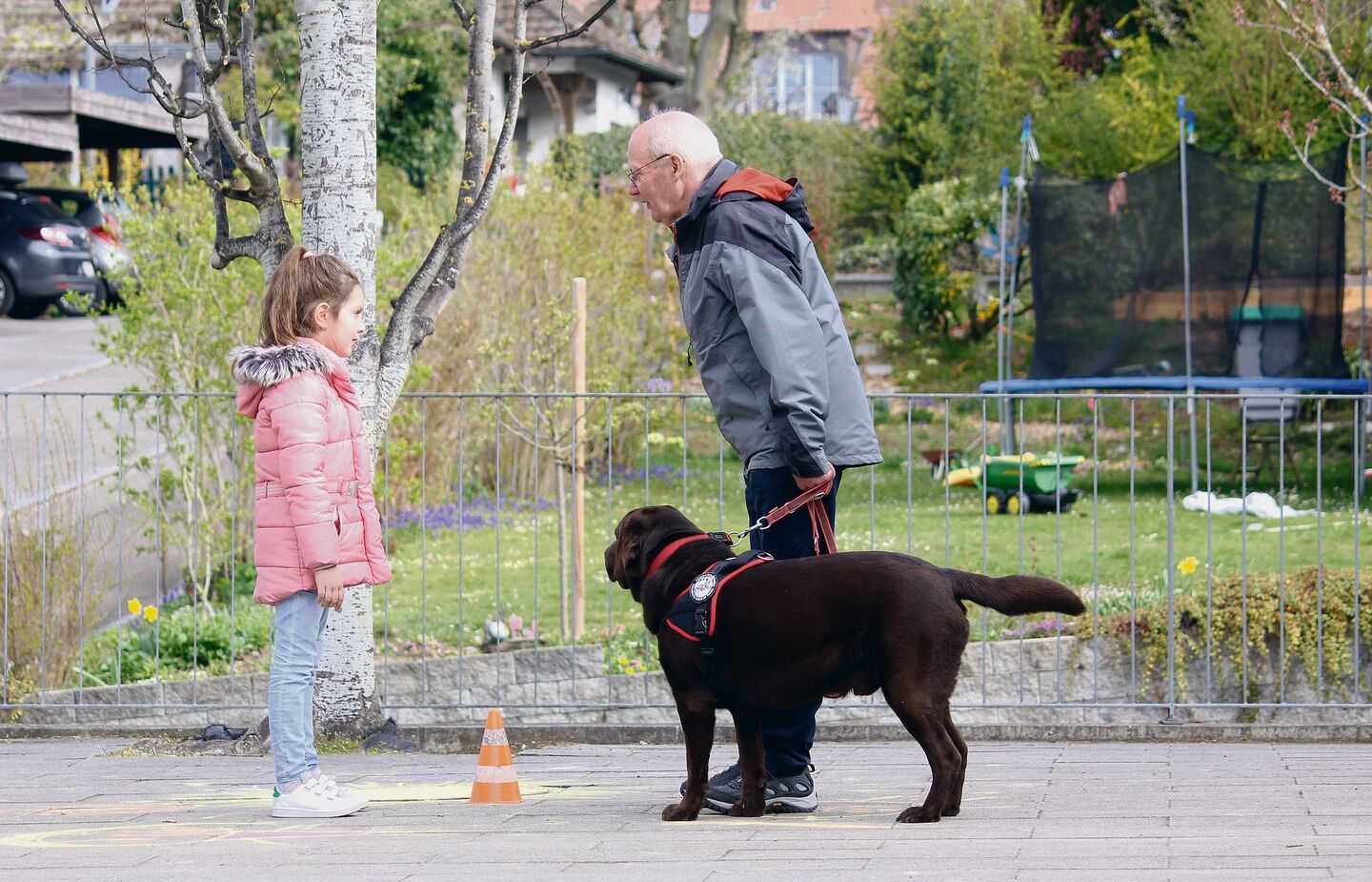 Die Kinder lernen, dass sie erst fragen müssen, bevor sie Labrador Kiro (oben) oder Lagotto Mila streicheln dürfen.