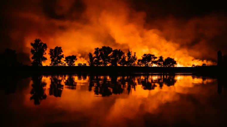 Waldbrand