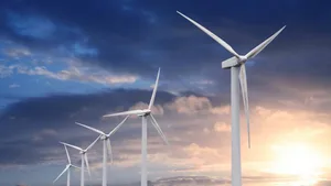 Windpärke produzieren zwar saubere Energie, doch im Einklang mit der Natur sind sie trotzdem nicht.