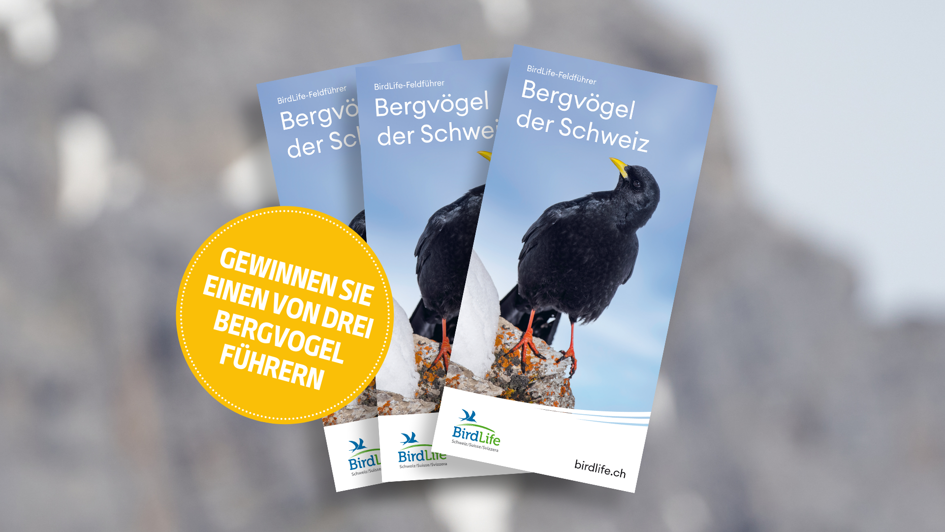 Gewinnen Sie einen von drei Bergvogelführern von BirdLife Schweiz