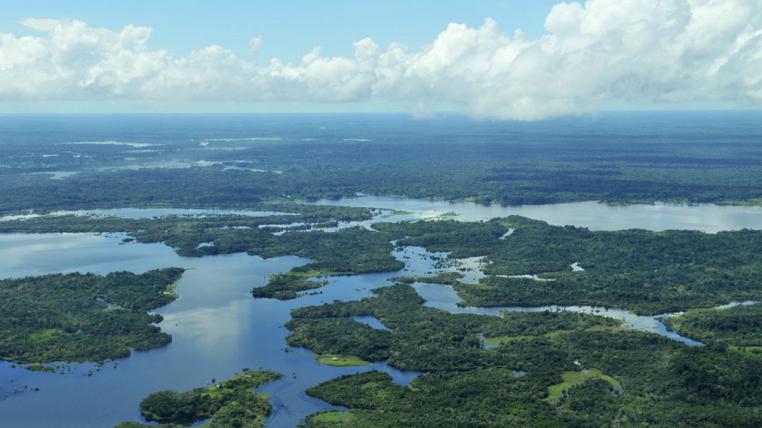 Amazonas bei Manaus, Brasilien