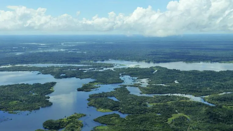 18b17cc69a6134f6d8e8f9ea8f41cff42337fa0a Amazonas bei Manaus, Brasilien