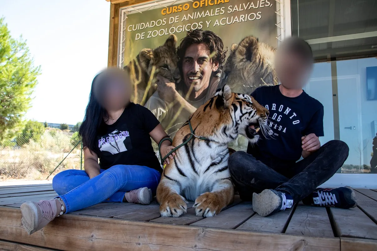 VIER_PFOTEN_2019-08-25_043 European Wildlife Tourism Investigation 08 2019