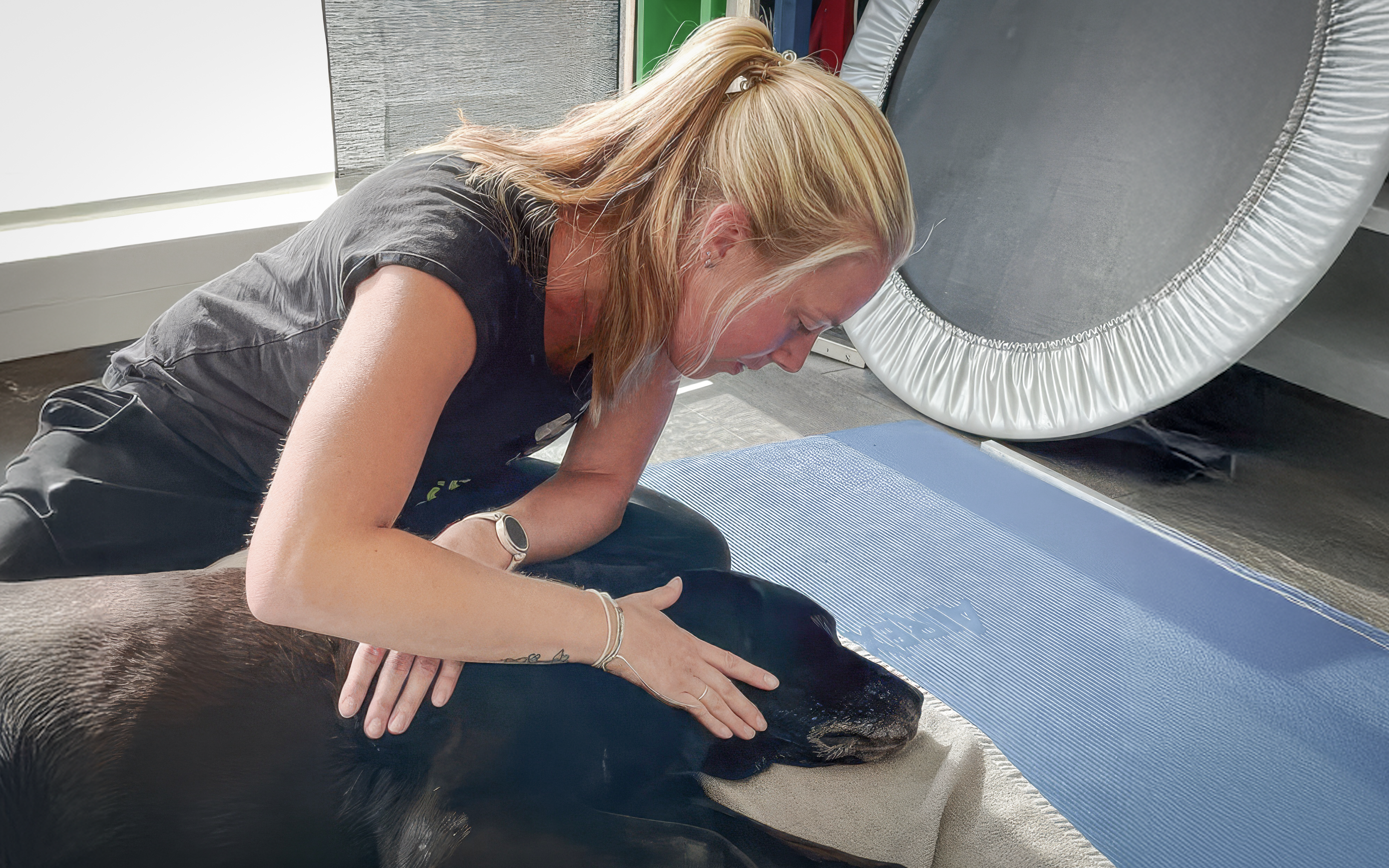 Physiotherapie statt Medikamente für Hunde