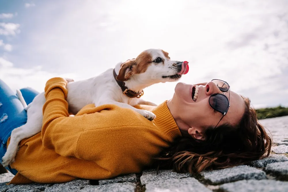 shutterstock_1829212376 Reise-Checkliste für Ihren Hund