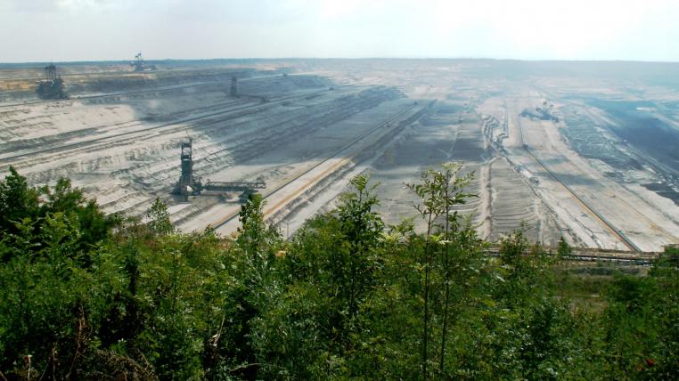 hambacher-forst.jpg