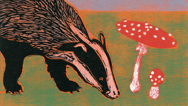 Illustration Dachs