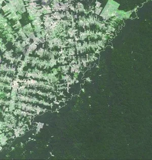 Grenze zwischen Brasilien (oben links) und Bolivien (unten rechts): Dieser Teil des Regenwalds wurde von den brasilianischen Behörden zur Nutzung freigegeben.