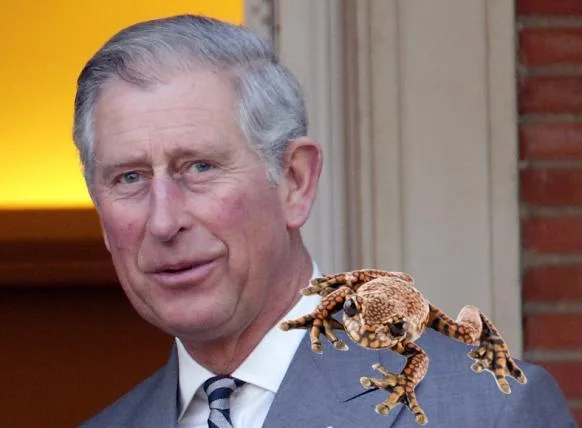 36929a027e0fb674b73a26e4a66cf447417c9d1b 01_charlesfrosch.jpg
