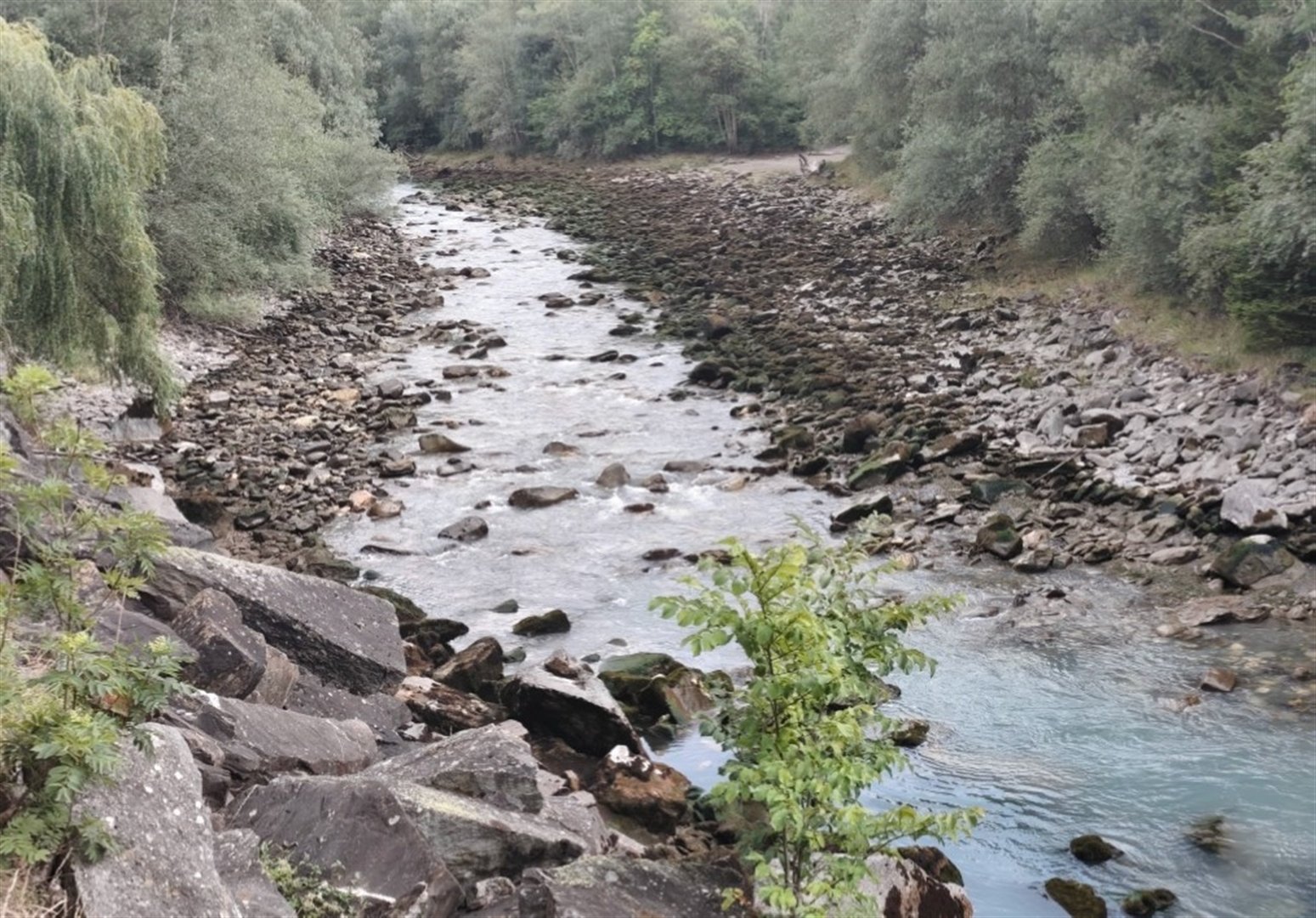 Tausende Fische sterben nach abruptem Wasserrückgang in der Albula