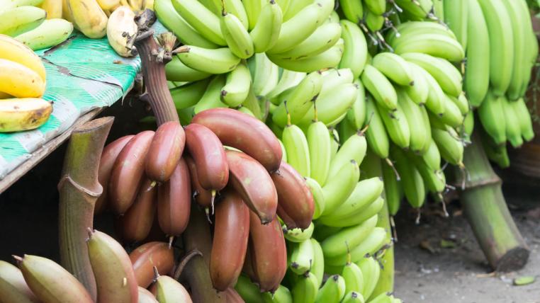 Bananen-Vielfalt
