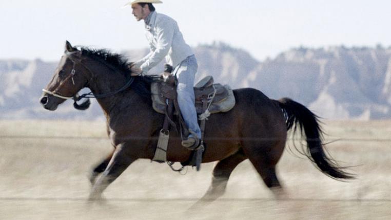The Rider Cowboy