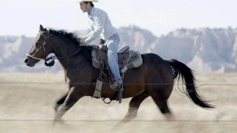 dd0365926dad5118dcb93d648d55bcbfa44d19fb The Rider Cowboy