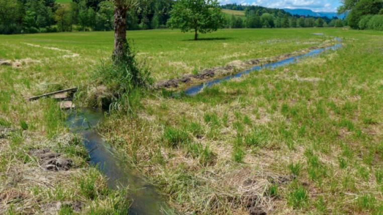 Wassermatten.jpg