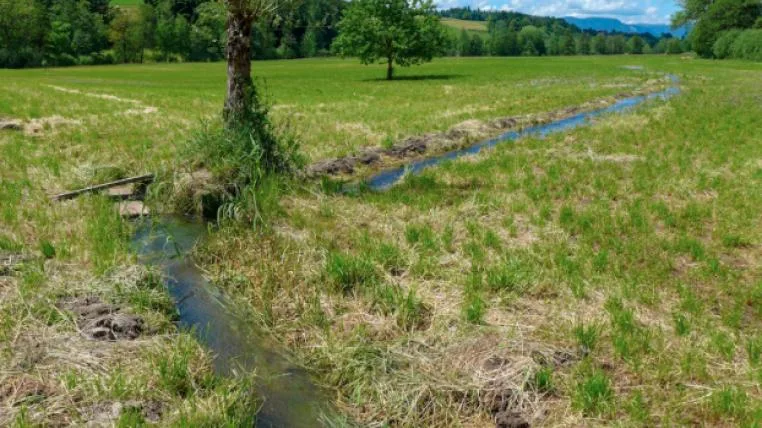 8d8c4e7cc939695d4d9a0f24434e5fa0c7e63c35 Wassermatten.jpg