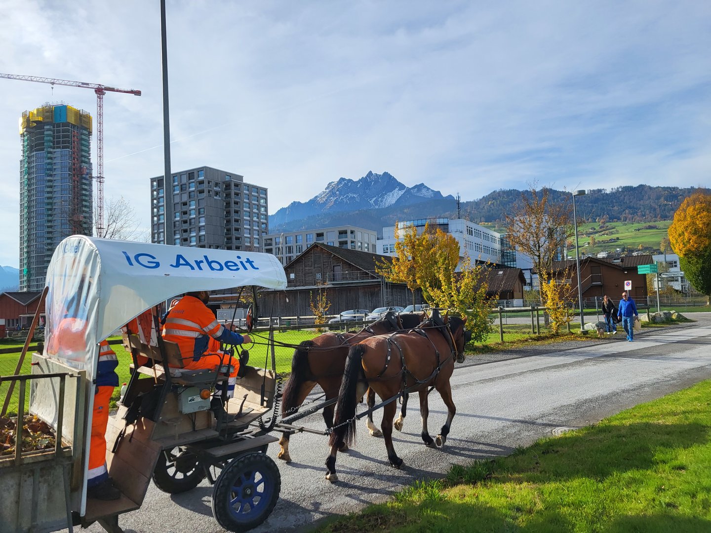 In Luzern holen Pferde die Grünabfuhr