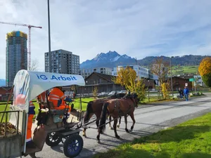 Durch die Quartierstrassen der Allmend lassen sich die Pferde gut manövrieren.