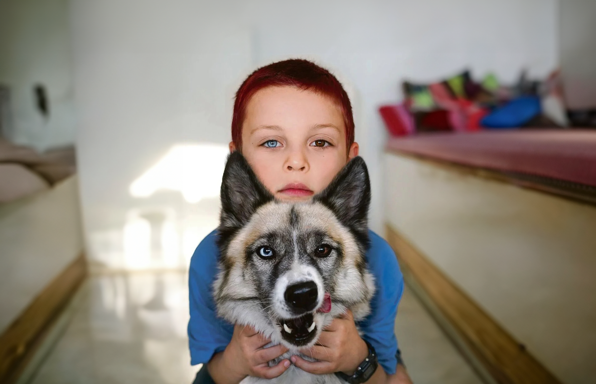 Unterschiedliche Augenfarben: Heterochromie bei Haustieren