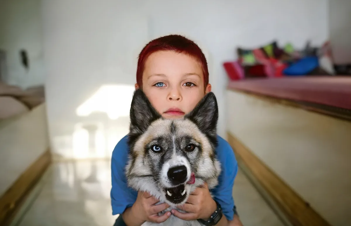 hetete Unterschiedliche Augenfarben: Heterochromie bei Haustieren